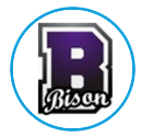 bison